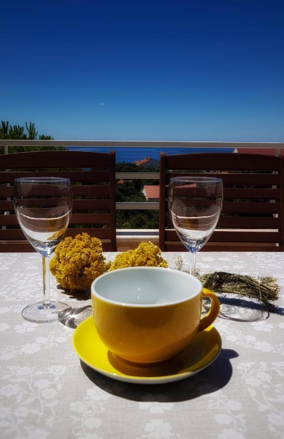 Apartmani Vrancic Mandre Luaran gambar